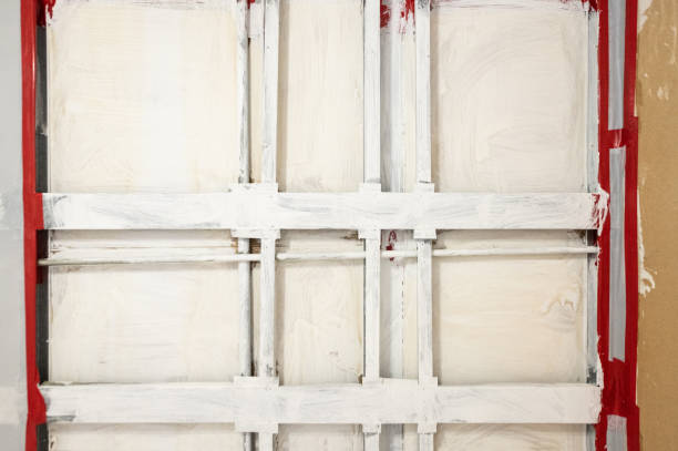 Best Post-Construction Mold Inspection  in Elm City, NC